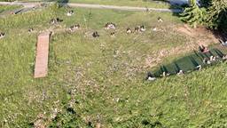 Col de la Forclaz / Montmin Paragliding