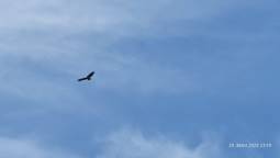 Levante 2 Paragliding